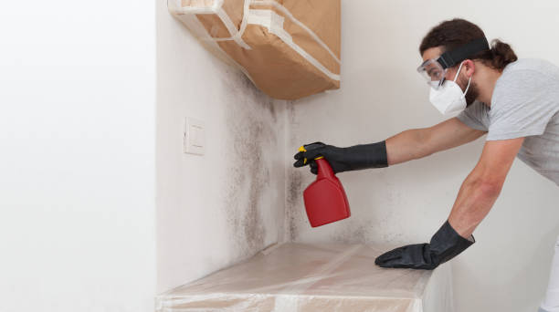 Professional Commercial Mold Remediation technician working in Woodbury, NY