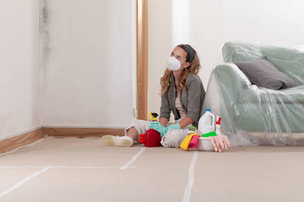 Reliable Commercial Mold Remediation contractor in Woodbury, NY by Car Mold Remediation